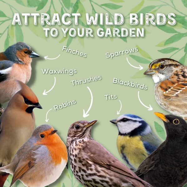 Copdock Mill Wild Bird Seed 12.75kg – Signature Collection Berry Feast Wild Bird Food – All Year-Round Bird Seed – 100% Natural Ingredients Including Peanuts for Wild Birds – Suitable for All Species - Image 2