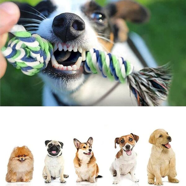 LONENESSL 12 Pcs Dog Rope Toys Set, Durable Dog Rope Toys for Small Pets Dogs, Puppy Toys Set Dog Chew Toys for Interactive, Teething Training, Relieve Boredom and Stress for Small Medium Dogs - Image 7