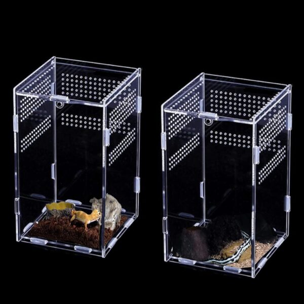 Topspitgo Tarantula Enclosure,Acrylic Transparent Terrarium,Stick Insect Enclosure,Reptile Breeding Box for Jumping Spider,Tarantula,Mantis,Snails,Spide,Scorpion,Centipede,Beetle (12x12x20cm) - Image 4