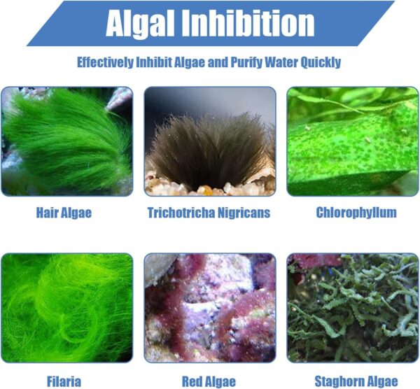 Fish Tank Algae Remover,Fish Tank Cleaner,50g Aquatic Algaecide with Spoon,Safe for Fish and Plants,Natural Aquarium Algae Treatment Clears Green Water and Moss for Clear Water,Healthy Environment - Image 4