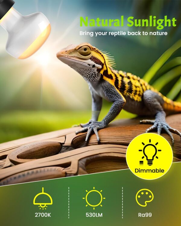 Bonlux Intense Heat Lamp Bulbs 100W, Dimmable UVA Basking Bulb E27 Daylight Reptile Heat Lamp Light Bulb for Lizards Tortoise Snakes Bearded Dragon Aquarium Amphibian (3-Pack) - Image 5