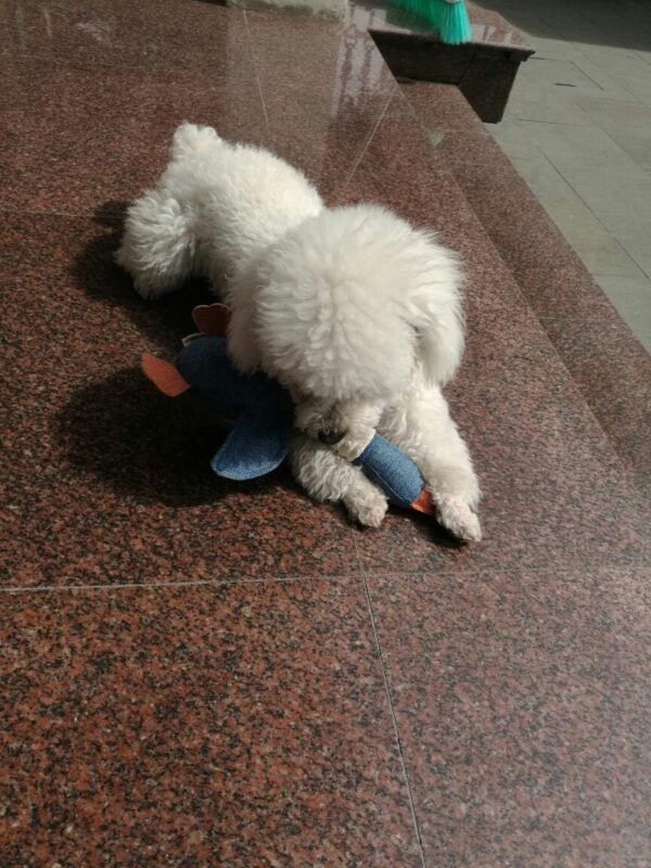 Vitscan Dog Toys for Aggressive Chewers Indestructible Large Breed and Squeaky Goose for Large Small Medium Dogs - Image 3