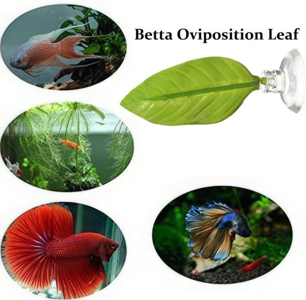 2 Pieces Betta Bed Leaf Hammock for Betta Fish, Floating Betta Bed Leaf Hammock, Aquariums Artificial Betta Hammock, Leaf Hammock for Fish, Fish Rest Plant Leaf Bed, Resting Spot for Betta Fish - Image 3