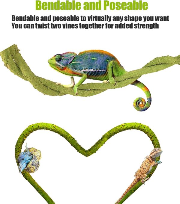 Helidrago Hermit Crab Supplies Climbing Toys, Reptile Climbing Decor Vine, Bendable Bearded Dragon Accessories for Climbing 71 Inches - Image 4