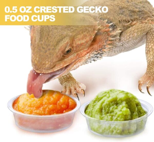 ANCKNE 200 pcs 0.5oz Crested Gecko Food and Water Feeding Cups | Reptile Feeder Bowls | for Lizard and Other Small Pet Ledge Accessories Supplies - Image 5