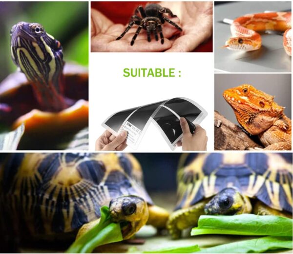 XIEHUZA Reptile Heating Mat with Temperature Adjustment, Waterproof Reptile Heat Pad Under Tank Terrarium Heater for Amphibians, Small Animals, Seeding (20W - 16.5 x 11 IN) - Image 7