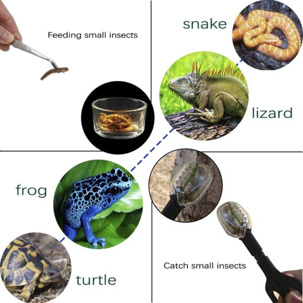 IAFVKAI Reptile Feeding Tongs Crickets Clamp Curved Feeding Tweezers Terrarium Cleaning Tools with Small Water Dish 3 in 1 for Insects Lizard Bearded Dragon Turtle Snake Spider Frog Gecko Chameleon - Image 5