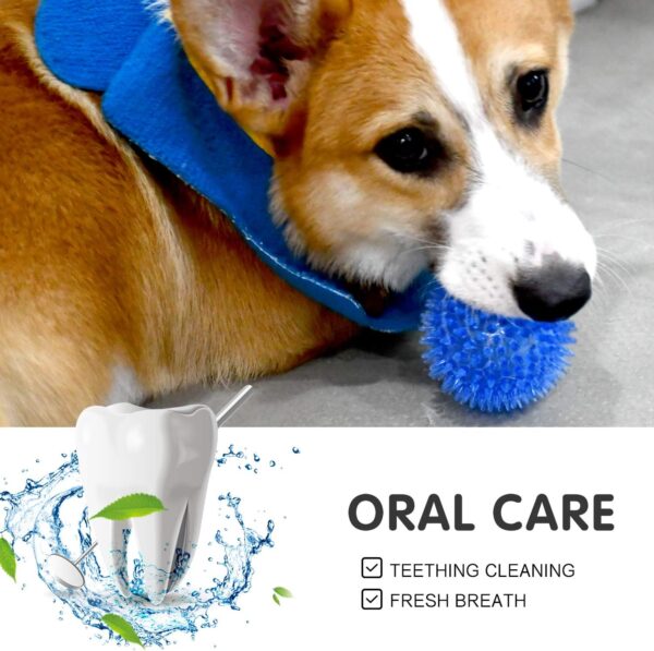 Squeaky Balls for Dogs Small Fetch Balls for Dogs Rubber 6 Pack Bright Colors TPR Puppy Toys Dog Toy Balls Dog Squeaky Toys Spike Ball Dog Chew Toys for Small Dogs Pet Toys for Puppy Teething Toys - Image 6