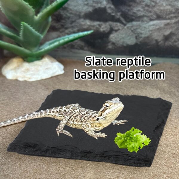 2pcs Tortoise Slate Reptile Basking Platform, 10x10cm Natural Square Slate Reptile Habitat Rock, Turtle Feeding Food Bowl Dish for Turtle Lizard Bearded Dragon Gecko Snake Landscape Habitat Decor - Image 5