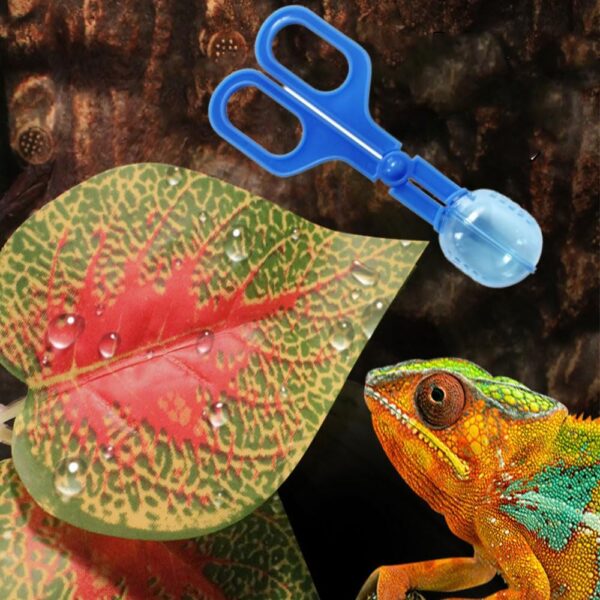 WANGSONGSONGZHY Reptile Feeding Tool Reptile Feeding Tongs Cricket Clamp Bug Scooper for Reptile Hedgehog Hamsters Guinea Pig Lizard Spider Bearded Dragon (Blue) (blue) - Image 3