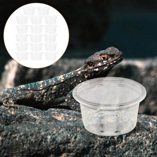 Reptile Food Water Bowl 20Pcs Plastic: Transparent Reptiles Water Tray - Anti-Slip Feed Dish for Tortoise Lizard Bearded Dragon Spider Scorpion Chameleon 4.7X4.7X2.5cm - Image 7