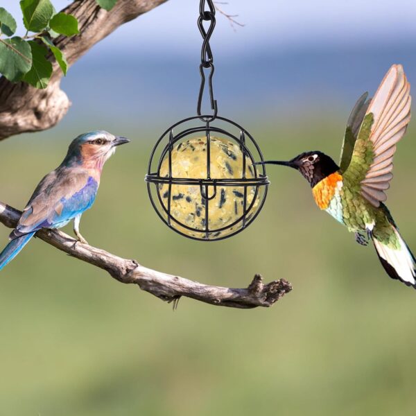 2 Pcs Fat Ball Feeders Hanging, Hanging Bird Feeder Metal Fat Ball Bird Holder with S-shaped hooks, Bird Feeders Fat Balls for Outdoor Garden Wildlife Birds Finch Sparrow Robin - Image 4
