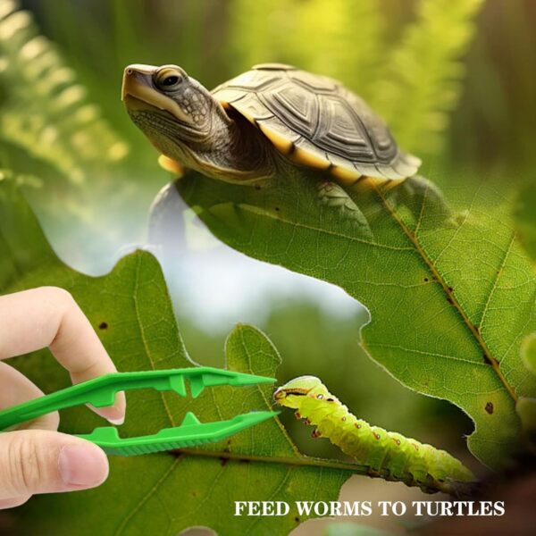 5 Pcs Reptiles Feeding Tweezers, Plastic tweezers,Reptile Feeding Tongs,Feeding Tongs, Reptile Feeding Tongs, Amphibians Feeding Tool, for Feeding Reptile,Insect, Snake, Lizard， Tortoise,Gecko - Image 6