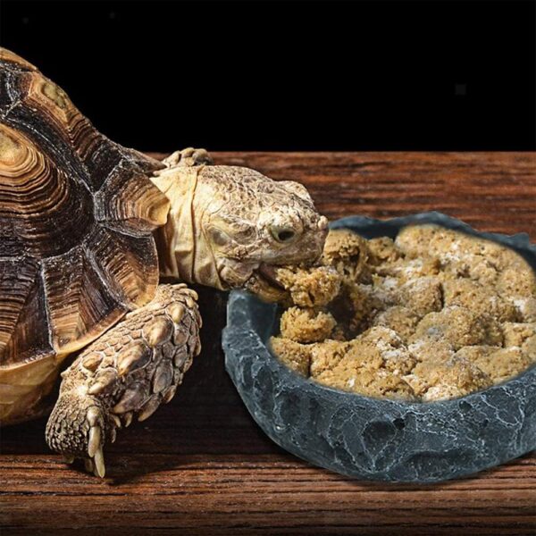 2 Pack Reptile Feeding Bowls, Resin Reptile Rock Bowl, Reptiles Water Tray, Reptile Terrarium Food Dish, Reptile Rock Food, for Reptile Turtle Scorpion Lizard Crabs Pets Supplies (Green and Black) - Image 6