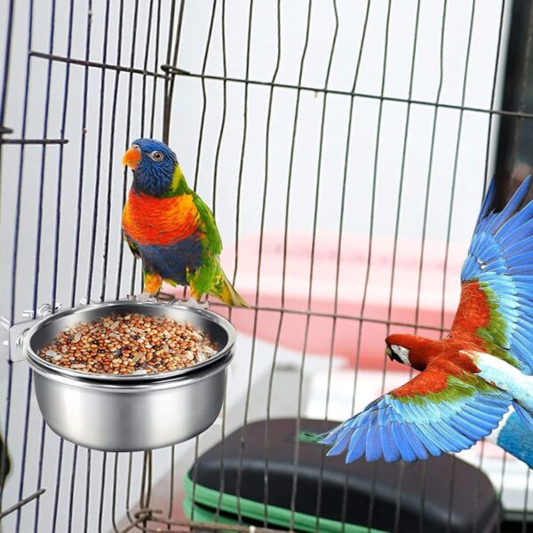 Bird Feeding Dish Cups Parrot Removable Stainless Steel Bowl Parrot Food Bowls Screw On Bird Feeder Bowl With Clamp - Image 2