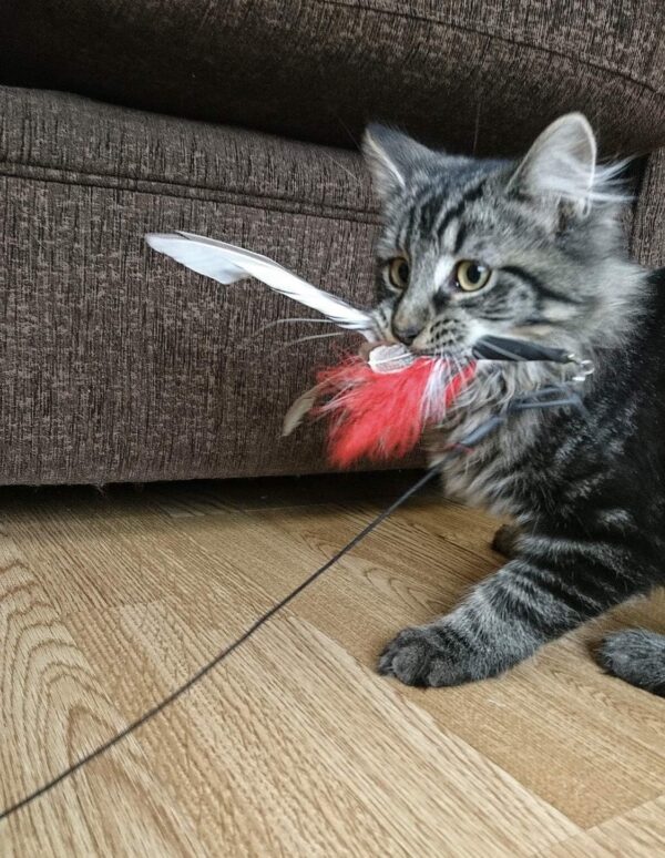 PurrSuit Feather Spinning Cat Toy LONG Safer Clip UK made 100cm Wand - Image 4