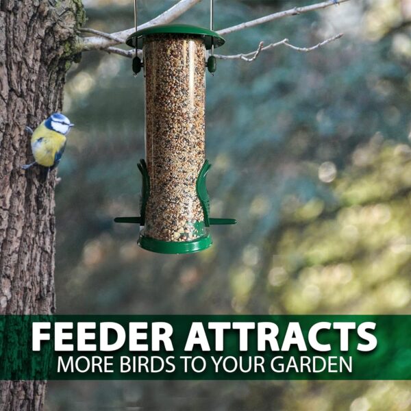 Home-Ed Hanging Bird Feeders for Small Birds Pack of 2 - Wild Bird Seed Feeder - Medium Size Feeders, Premium Quality & Sleek Design - Bird Feeder Station(Pack of 2) - Image 6
