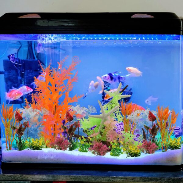 QUOZUO 21 pcs Fish Tank Decorations Plants with Artificial Tree Trunk view and starfish, Aquarium Plants Colorful Artificial Resin Reef Resin Fish Tank Ornament - Image 2