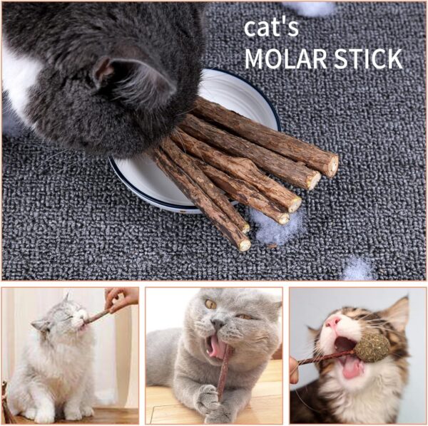 Newoutset 33 Pcs Cat Catnip Sticks, Cat Catnip Chew Toys Natural, Silvervine Matatabi Catnip Sticks Toys, Cat Kitten Teething Toys Sticks for Cat Kitten Teeth Cleaning, Including 3 x Cat Mouse Toy - Image 7
