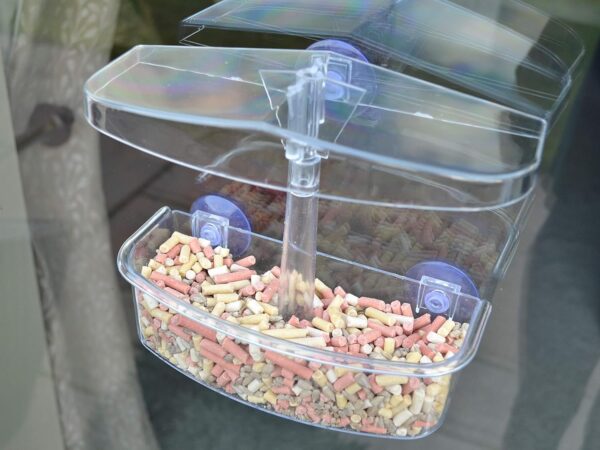 Supa Wild Bird Window Feeder | Enjoy Close Up Observation of Garden Birds, Comes Complete With 3 Heavy Duty Suction Cups. - Image 3