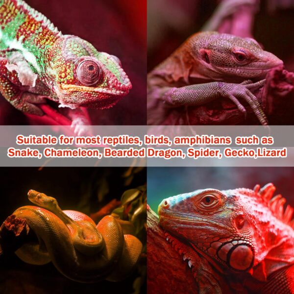 NEPTONION Reptile Infrared Heat Lamp, UVA 75W Red Heat Bulb Basking Spot Heating Lamp Suitable for Snake, Chameleon, Bearded Dragon, Spider, Gecko, Lizard - Image 6