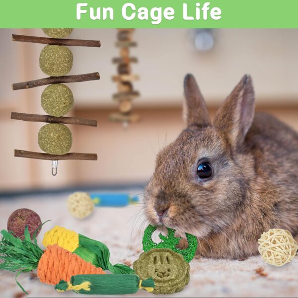 Ousiya 21-Pack Rabbit Toys Set, Natural Rabbit Chew Toys Boredom Breakers for Bunny, Hamster, Guinea Pig and Chinchilla, Apple Wood Timothy Hay Sticks Treating for Rabbit and Small Animals Teething - Image 5