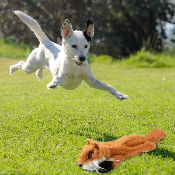 Newthinking No Stuffing Dog Toys, 6 Pack Squeaky Dog Toys Indestructible, Soft Plush Dog Toys for Small Medium Large Dogs - Image 6