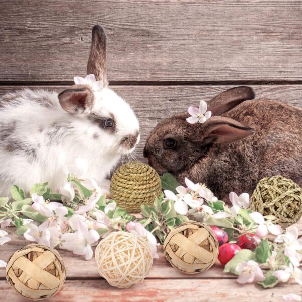 Jubaopen 8PCS Animal Fun Balls Chew Rattan Balls Small Rattan Balls for Various Types of Small Animals - Image 2