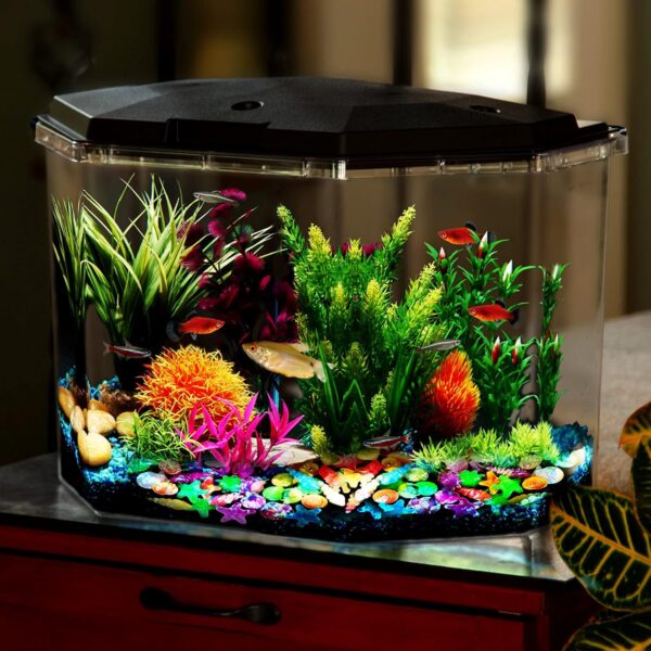 wokery 150 Pcs Glowing Pebbles, Glow in the Dark Stones Rocks Conch Shells Starfish, Colorful Luminous Cobblestones, Decorative Gravel Pebbles Stones Rocks for Aquarium Fish Tank Garden Decoration - Image 4