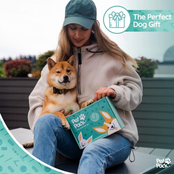 Pet Pack Dog Essentials Set - Puppy Starter Kit for New Owners, Fun Puppy Toys from 8 Weeks Small Dog | Ideal Puppy Essentials and Puppy Grooming Kit | Non-Aggressive chewers - Image 5