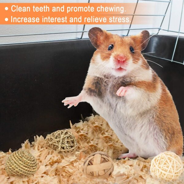 Jubaopen 8PCS Animal Fun Balls Chew Rattan Balls Small Rattan Balls for Various Types of Small Animals - Image 3