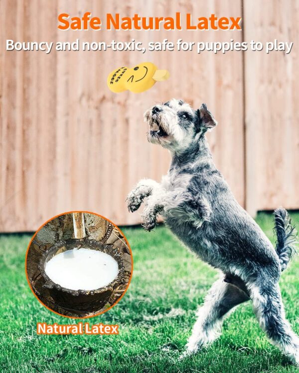 SCHITEC Dog Squeaky Toys, 4 Pack Soft Latex Dog Toys Interactive Play Game Pet Toy for Puppy Small Dogs - Image 4