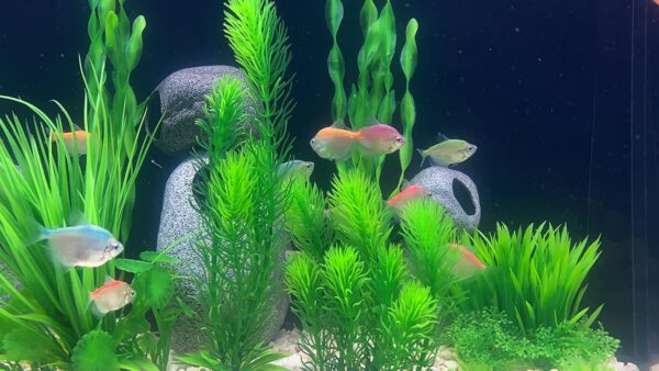 BEGONDIS 18Pcs Artificial Aquarium All Green Plants Set, Artificial Plastic Plants Fake Aquatic Plants Artificial Fish Tank Plants for Aquarium Decorations - Image 5