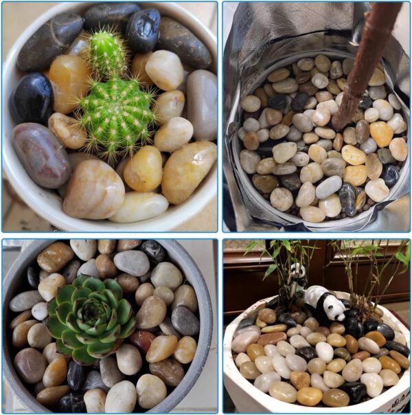 Stoepeoco 4.1 LB Natural Polished Pebbles,Multi Smooth River Rocks Decorative Ornamental stones Garden Landscaping Pebbles Gravel Filler for Flower Bed Fish Tank Plants Vases Succulents - Image 3