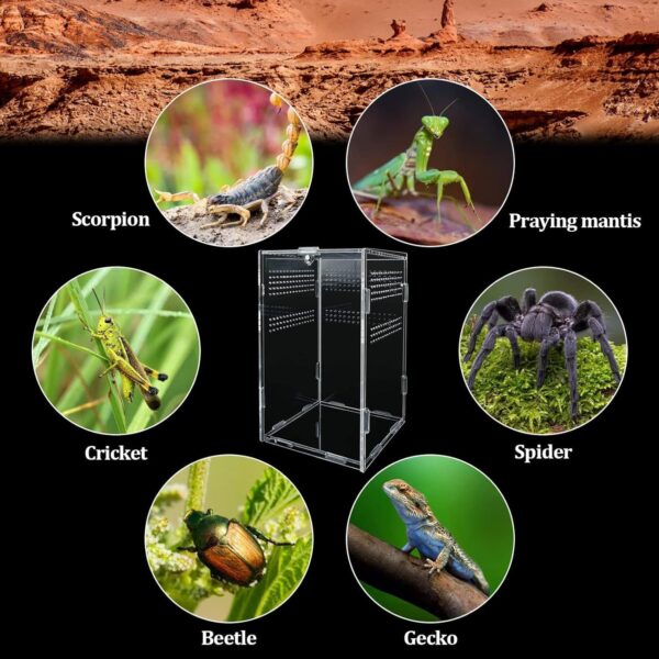 yingd Terrarium Kit, Reptile Breeding Box, Stick Insect Enclosure, Tarantula Enclosure, Transparent Reptile Feeding Box for Spide, Lizard, Scorpion, Mantis, Geckos, Beetle, Crickets (12x12x20cm) - Image 6
