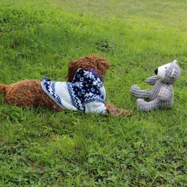 IFOYO Dog Squeaky Toy, Durable Dog Squeaker Toy 7.9 x 6.3 Inch Cute Sitting Bear Shaped Dog Interactive Toy Unique Tough Cloth Stuffed Dog Toy for Boredom - Image 3