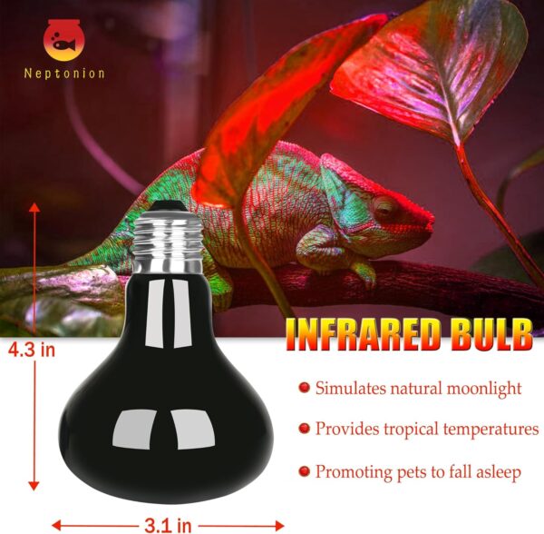 NEPTONION Reptile Infrared Heat Lamp, UVA 75W Red Heat Bulb Basking Spot Heating Lamp Suitable for Snake, Chameleon, Bearded Dragon, Spider, Gecko, Lizard - Image 2