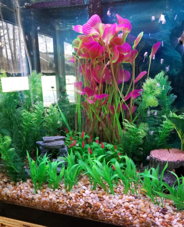 Large Aquarium Plants Artificial Plastic Fish Tank Plants Decoration Ornament Plastic Vivid Simulation Plant Creature Aquarium Landscape 40cm x 18cm - Purple - Image 4