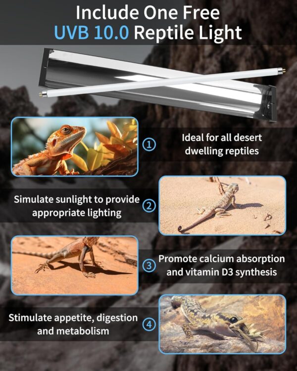 LUCKY HERP T5 Reptile Light Fixture Combo Kit 24W, 30% UVA+10% UVB Light Reptile Kit(Up to 200%), 100-250V UVA UVB Reptile Light for Amphibian, Tortoise, Lizard, Bearded Dragon - Image 7