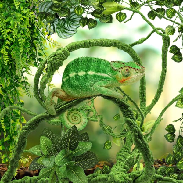 QUOZUO Bearded Dragon Tank Accessories for Habitat, Terrarium Hanging Plants Vines Artificial Leaves Reptile Hide, Leopard Gecko Tank Accessories Snake Hide Terrarium Decor for Geckos Chameleon - Image 6