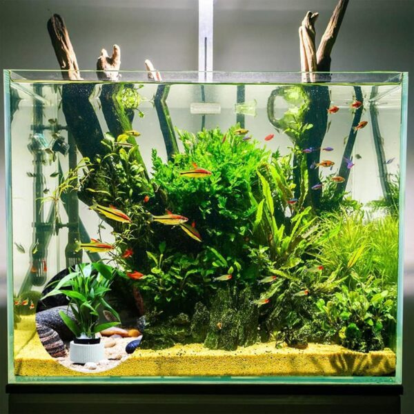 Aquatic Plants Fixed Ring Set Aquarium Plant Weights Pot Anti-Floating Ceramic Plant Fixing Basket Base Aquarium Plant Holder Rings Aquarium Landscape Decoration Fish Tank Accessories - Image 2