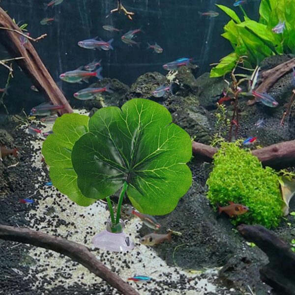 Fish Tank Plants, Betta Bed Leaf Hammock Aquarium Plants Lightweight Resting Spot for Betta Fish Spawning Leaf Simulation Leaves With Suction Cup Fish Tank Decorations Accessories (3PCS) - Image 7