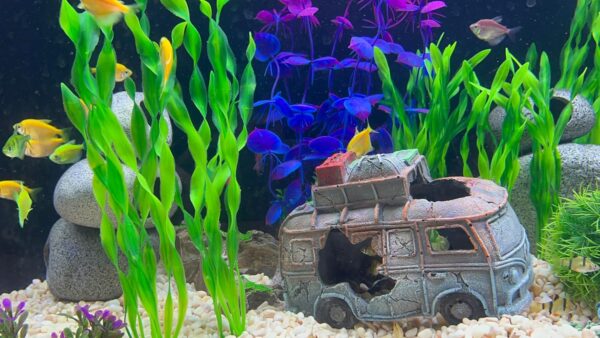BEGONDIS Camper Van Tourer with 8 Pcs Plastic Plant Set Artificial Polyresin Aquarium Ornament Aquatic Model Decoration Fish Tank Marine Decor Ornaments (Car) - Image 7