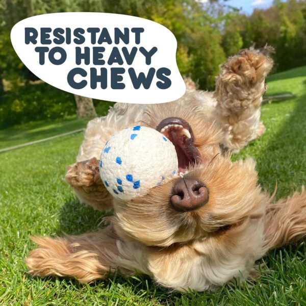 Petface Outdoor Paws Mighty Ball Dog Toy, Extra Strong, Large (Pack of 1) - Image 2