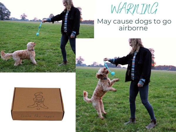 Puppy Rope Toys, Chew Ropes for Puppies from 8 weeks, Teething Toys for Play, Natural Dog Enrichment, Puppy Gift Box (Small-Medium) - Image 6