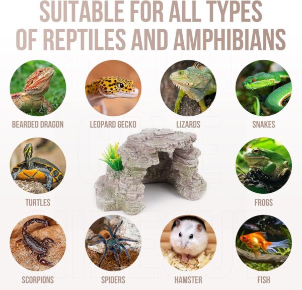 Reptile Cave Hideout Habitat, Great for Bearded Dragons, Leopard Geckos, Lizards, Turtles, Snakes, Frogs, Scorpions, Spiders and Other Reptiles, Amphibians (E - Medium) - Image 6