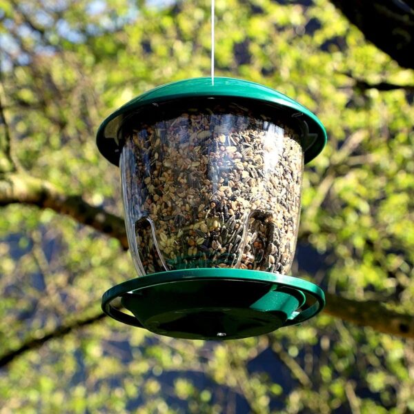 Wildlife Friend - XXL Bird Feeder - 4 L Capacity for Seeds - Bird Feeding Station For Small and Wild Birds, Titmouse, Sparrows and Other Garden Birds - Hanging Bird Feeder-squirrel proof bird feerder - Image 3