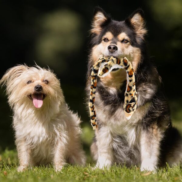 Jeeper Squeaky Dog Toys, 3 Pack no Stuffing Durable Plush Dog Squeaky Chew Toys Set for Puppy Small Medium Large Dogs Playing Making Fun, Wolf, Tiger, Leopard and Lion - Image 9