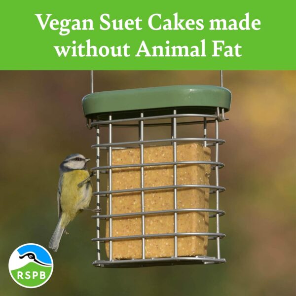 Vegan Suet Cakes for Wild Birds - with Peanuts, Ground Oats, and Rapeseed, High in Energy and Protein, Great for Suet Feeders and Bird Tables (10) - RSPB - Image 2