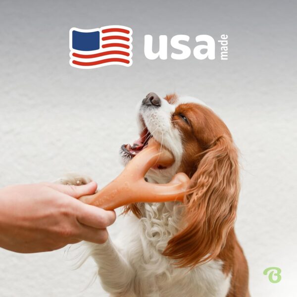 Benebone Indestructible Wishbone Dog Chew Toy for Aggressive Chewers, Long Lasting Tough Boredom Breaker for Dogs, Real Bacon Flavour, For Small Dogs, Made in the USA. - Image 5